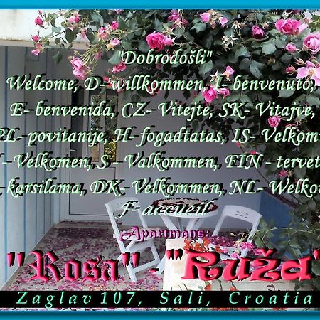 סאלי Apartment Ruza מראה חיצוני תמונה