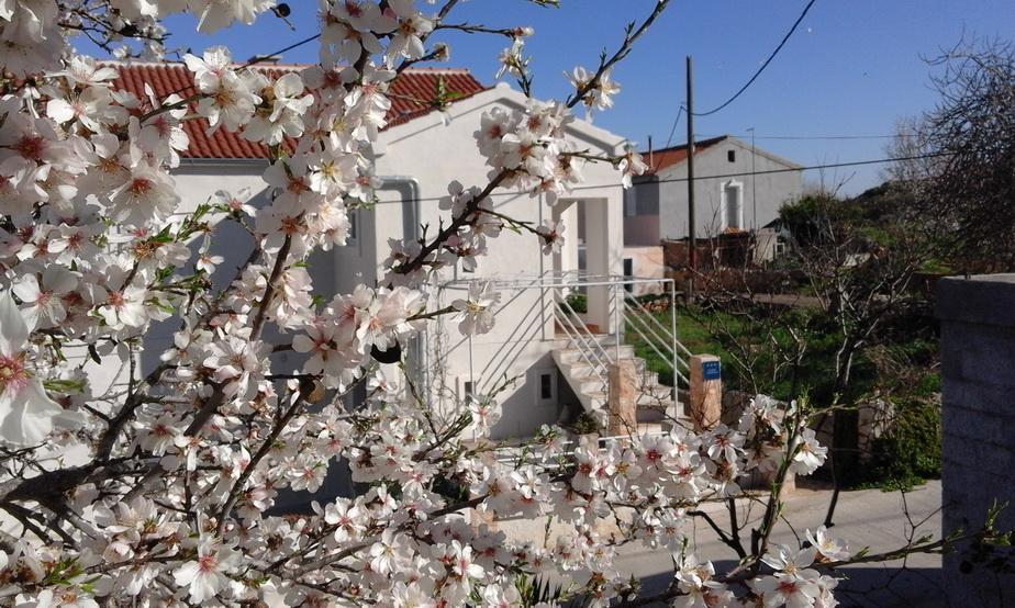 סאלי Apartment Ruza מראה חיצוני תמונה