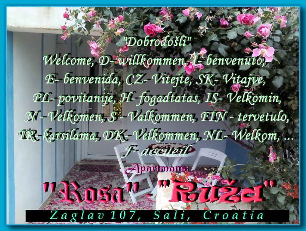 סאלי Apartment Ruza מראה חיצוני תמונה